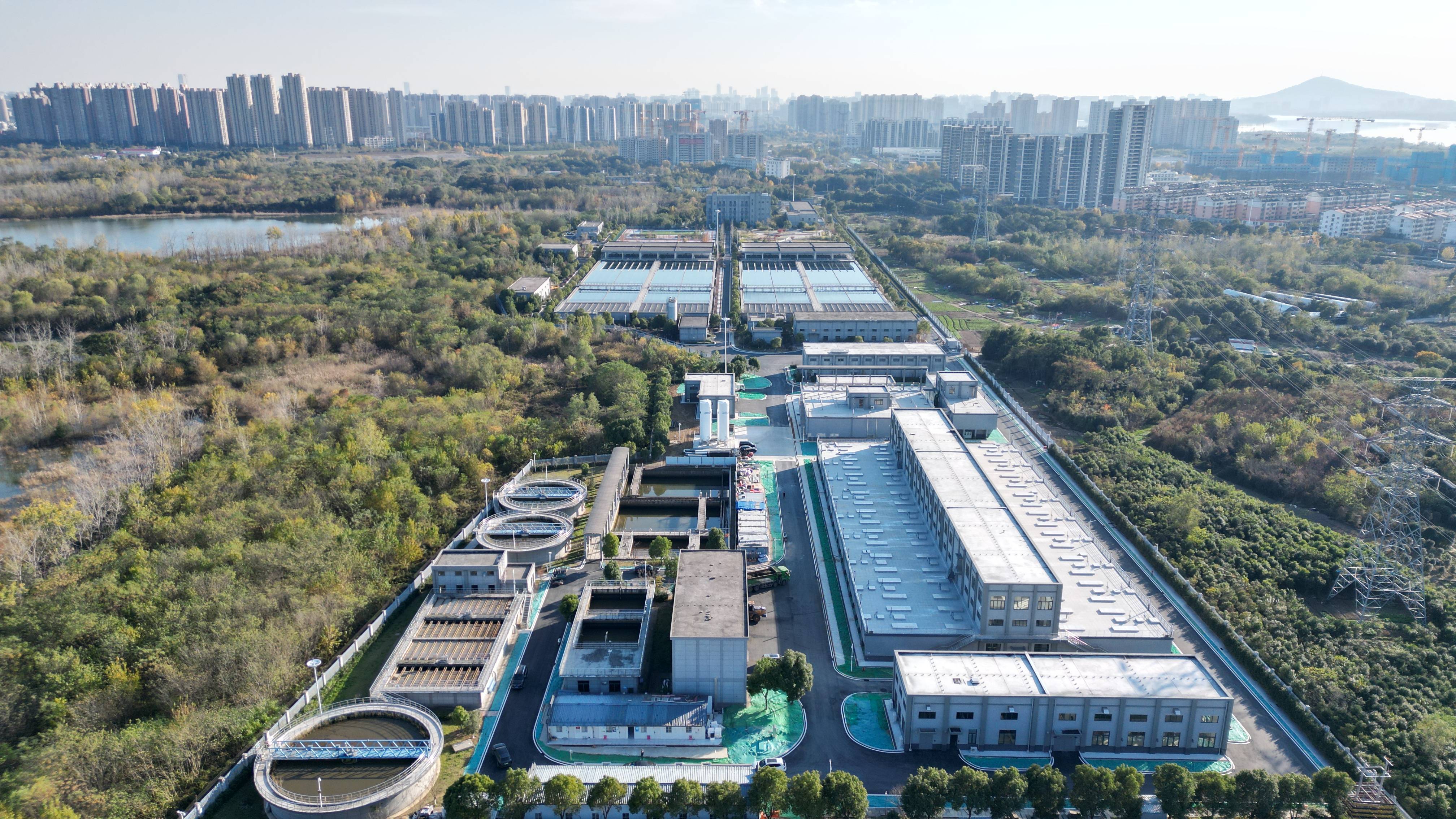 苏州市合肥专业企业价值增长(合肥市重点企业产业目录)
