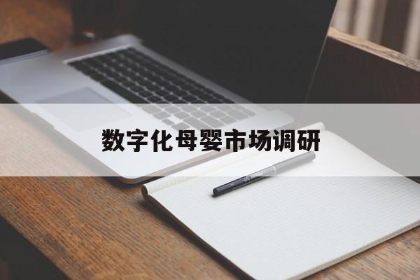 苏州市数字化母婴市场调研(数字化母婴市场调研报告)